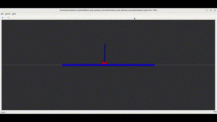 Cart-Pole Optimal Control Preview